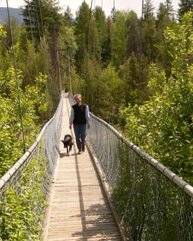 Suspension_Bridge_ZUckerberg_Island